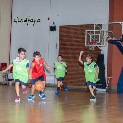 IMG-e1b39532a78a4ec9d2dc0a415eec745f-V